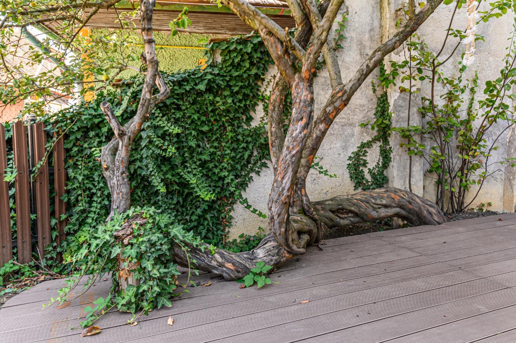 Lagom - Hot Tub Hideout Брашов Екстер'єр фото